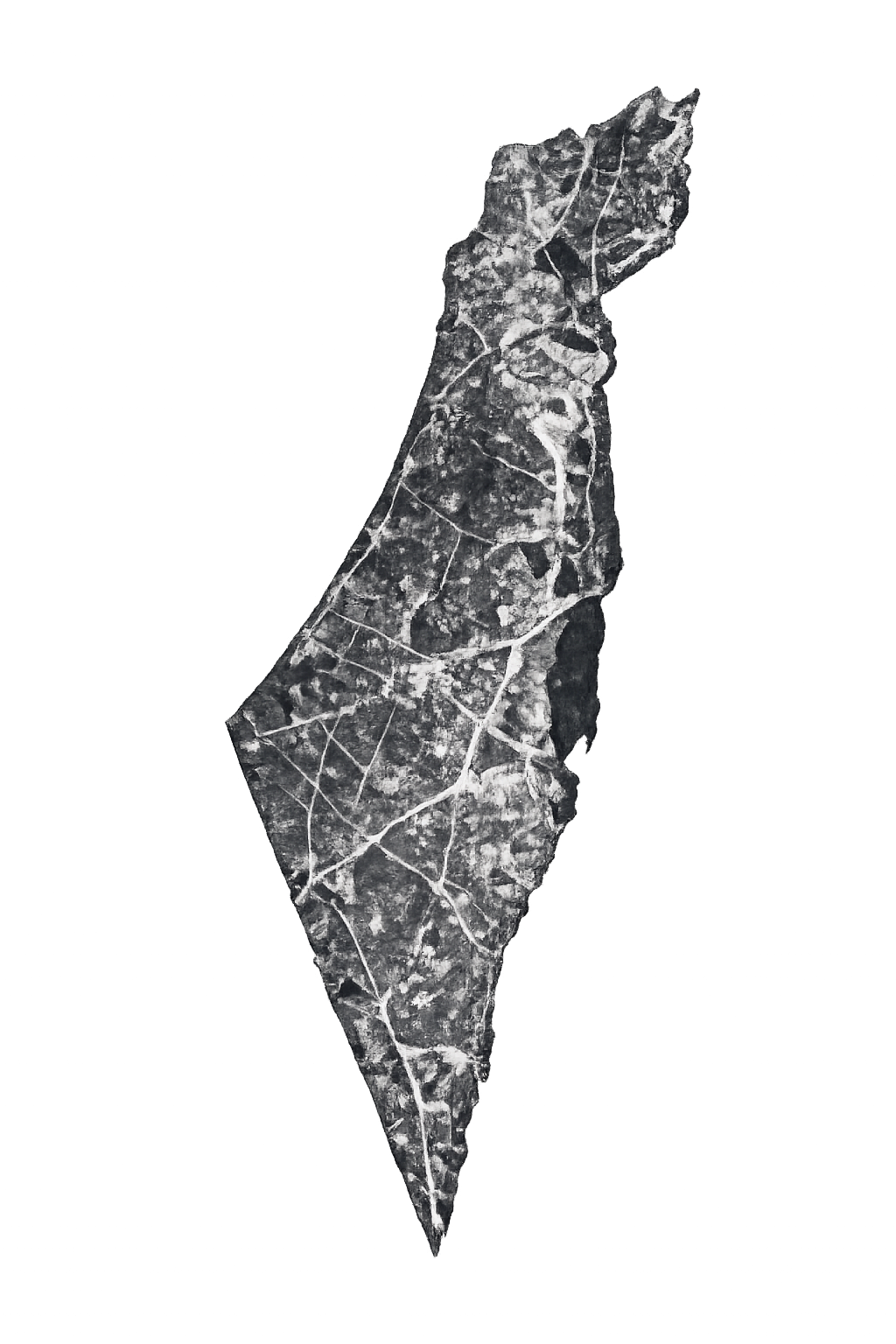 Israel Reborn as a Nation